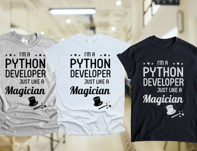 Camiseta Python